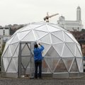 Klaipėdiečio verslo pradžia: ieškojo šiltnamio – pastatė įspūdingą kupolą