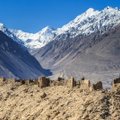 Viena keisčiausių vietų pasaulyje: čia klestėjo senovės graikų karalystė Afganistane