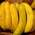 Ant nusipirktų bananų – įtartinas baltas iškilimas