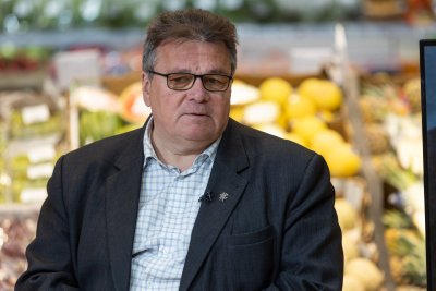 Linas Linkevičius - buvęs užsienio reikalų ministras