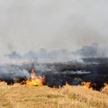 Ugniagesiai perspėja: nors žolės gaisrai pasiglemžia žmonių turtą, gyventojai iš klaidų nesimoko
