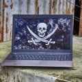 Interneto piratų eibės – gražiausias metų šventes apkartinti gali ne tik Grinčas