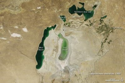 Aralo jūra šiemet