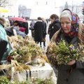 Lietuviška prekė, kuri į Lenkiją vežama masiškai: tai unikalus fenomenas