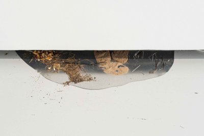 Sallamari Rantala kūrinys