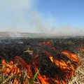 Sujudo žolės degintojai: ugniagesiai turėjo paplušėti