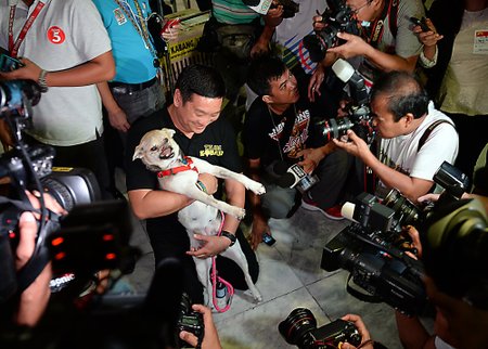 Didvyriu tituluojamą šunį Filipinuose pasitiko būrys fotografų bei minios žmonių, laikančių rankose savo keturkojus augintinius