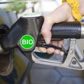 В Литве цена на биотопливо упала до исторического минимума