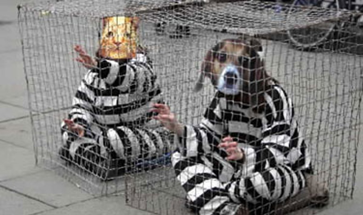Gyvunų teisių gynėjai Osle protestuoja prieš skausmingus eksperimentus su gyvūnais, ypatingai gaminant kačių ir šunų maistą.