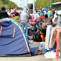Pabėgėlių stovyklose svarstoma dalyti lankstinukus apie Lietuvą