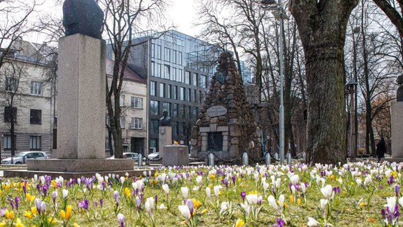 Pasigrožėkite: Kaunas pasidabino pavasariniais žiedais