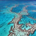 Australija nesutinka su UNESCO nuomone dėl Didžiojo barjerinio rifo