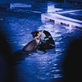 Po nesėkmės „Eurovizijoje“ A. Pilvelytė laiką leidžia su delfinais: reikia skirti laiko sau