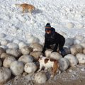 Mičigano ežero krantus nusėjo ledo rieduliai