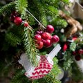 Опрос: отношение литовцев к рождественским елкам зависит от возраста