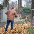 Populiarėja kapų prižiūrėtojų paslaugos: kiek tektų sumokėti per mėnesį?