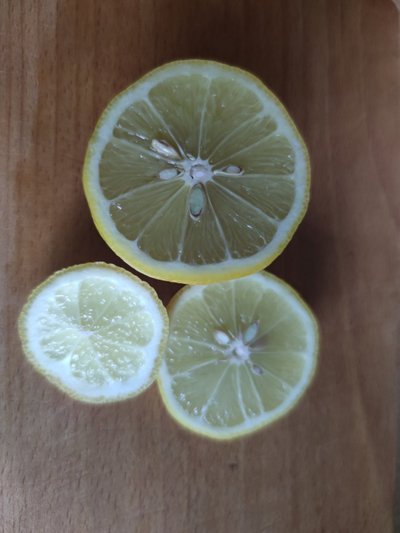 Plytelių valymas su citrina