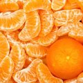 Kokie vabzdžiai gali gyventi mandarinuose?