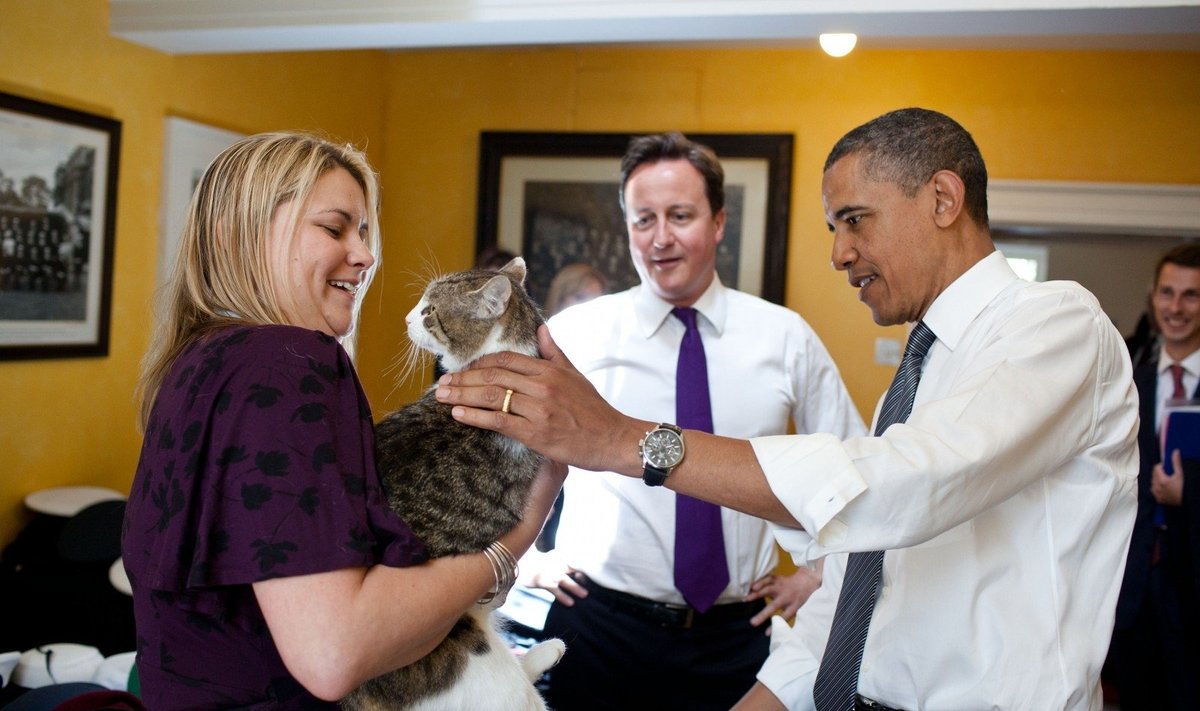 Barackas Obama ir Davidas Cameronas su katinu Lariu