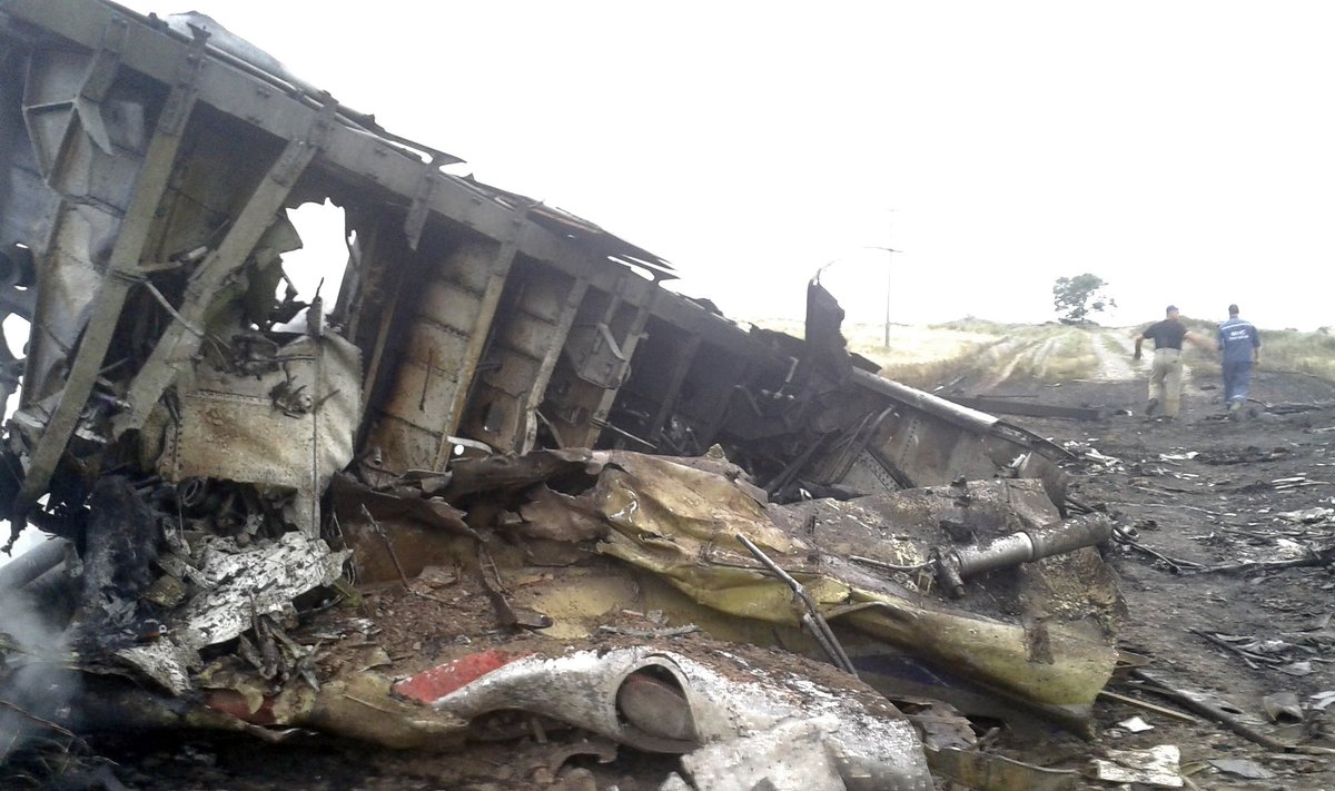 Ukrainoje nukrito Malaizijos oro linijų lėktuvas