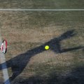 Kaune planuojama įrengti naują parką su teniso aikštynu