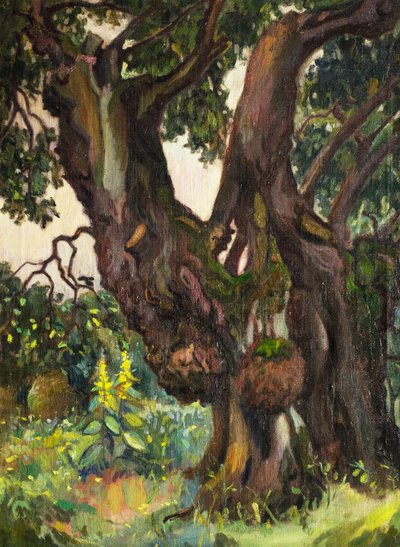 Bronislovas Jamontas (Bronisław Jamontt, 1886–1957) "Peizažas su senu medžiu" (XX a. pirma pusė)