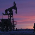Naftos kainas smukdo augančios JAV atsargos, nusilpusi paklausa Kinijoje