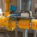Gas supply halted due to gas main's repair in Belarus