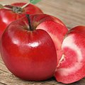 Obuoliai raudonu minkštimu: ar verta auginti?