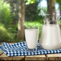 Vilkyškių pieninės pardavimai krito, bet pelnas augo