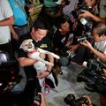 Filipinuose šiurpiai sužalotas šuo pasitiktas kaip didvyris