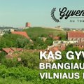 Naujas „Gyvenimo su T. Grižu“ sezonas: kas gyvena brangiausiame Vilniaus name?