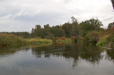Merkys - viena švariausių Lietuvos upių