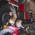 Panevėžio ugniagesiams – neįprasta misija: surengė fotosesiją su beglobiais gyvūnais