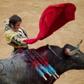 Ispanijos parlamentas imsis veiksmų bulių kautynėms apginti