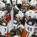 Anahaimo „Ducks“ ledo ritulininkai tapo absoliučiais NHL pirmenybių lyderiais