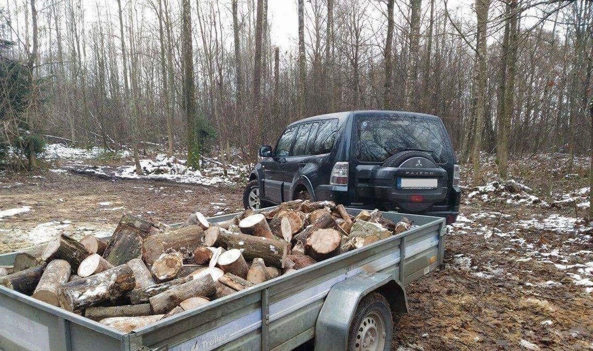 Pasiniečių tarnybinis automobilis su mediena