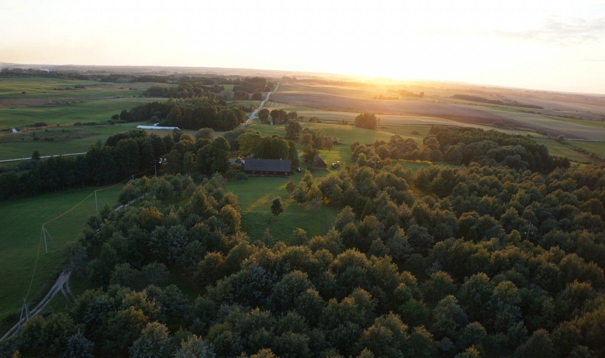 Didžiausias Lietuvoje rankomis sodintas Ąžuolynas: unikali, nuolat plečiama ir puoselėjama vieta