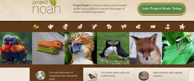 „Project Noah“ puslapis