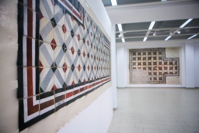 Eglės Ridikaitės tapybos paroda "Atėjai, pamatei, išėjai: kultūringos grindys"