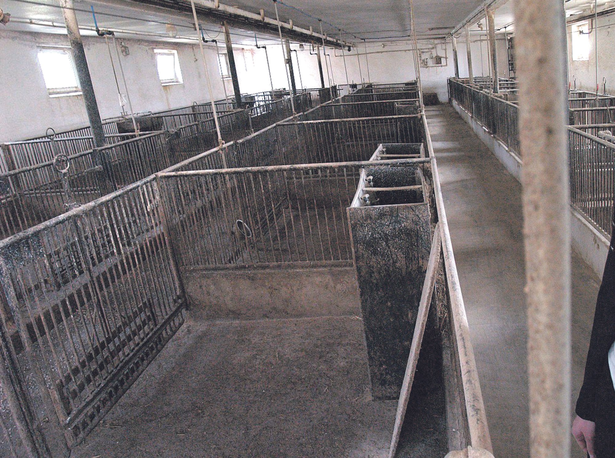 Spojrzenie na polskie gospodarstwa rolne – Delfi Business