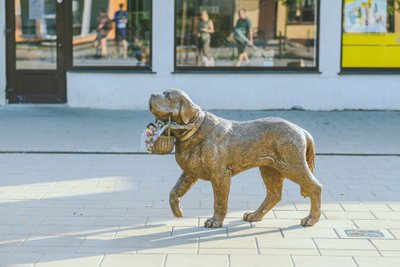 Senbernarės „Bitės“ skulptūra, nuotr. A. Aleksandravičiaus.