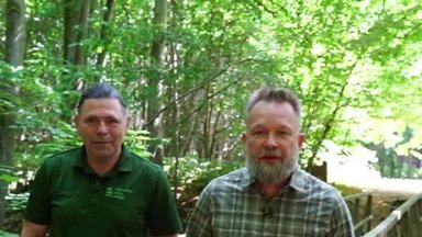 Keliautojas Martynas Starkus atrado išskirtinį Lietuvos mišką: reti augalai ir unikalus sertifikatas