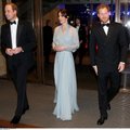 Užsienio žiniasklaida: princas Harry taps tėvu Kūdikio mama – 19-metė