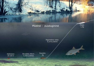 Plūdinės - pusdugininės schema