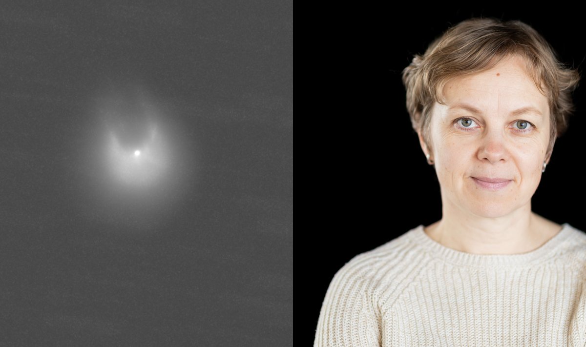 12P/Pons–Brooks kometa. Dr. Renata Minkevičiūtė.  Gianluca Masi/The Virtual Telescope Project/Ž. Gedvilos nuotr.