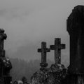 Archeologai įtaria radę partizanų palaikus Našlaičių kapinėse