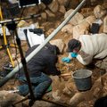 Archeologams ant Gedimino kalno kol kas nepavyksta rasti vieno sukilėlio palaikų