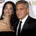 6 faktai apie G. Clooney žmoną A. Alamuddin