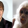 Nenori atiduoti J.Bieberiui jo beždžionės